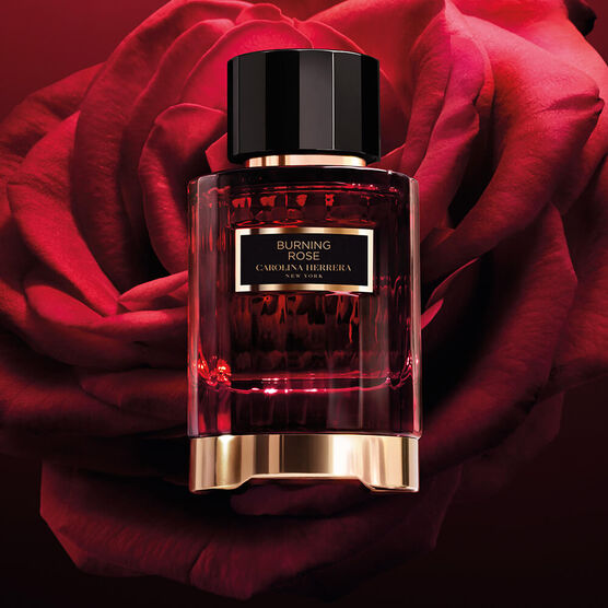 CAROLINA H CAROLINA H    EDP  100ML