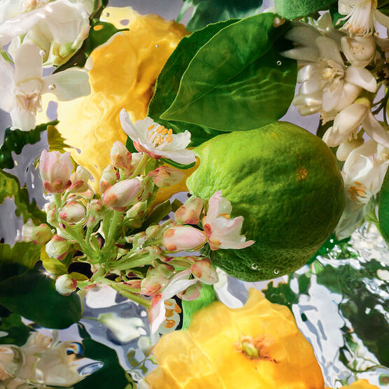 Gel de Banho Guerlain Aqua Allegoria Bergamot Feminino