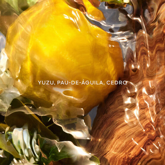 Perfume Guerlain Aqua Allegoria Oud Yuzu Forte Eau de Parfum