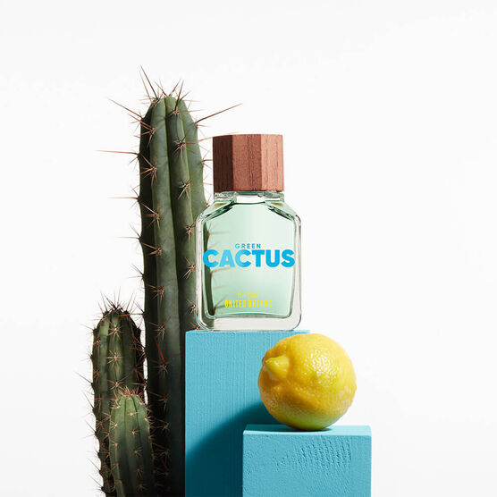 Green Him  United Dreams Masculuno Cactus LE EDT 100ML