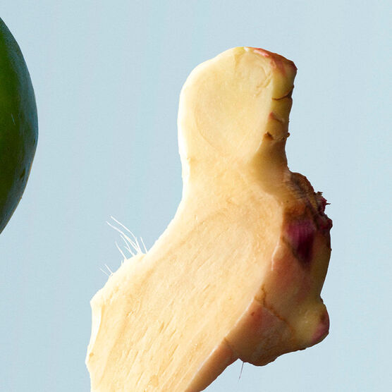 BOSS       BOSS BOTT TON EDTV 100ML