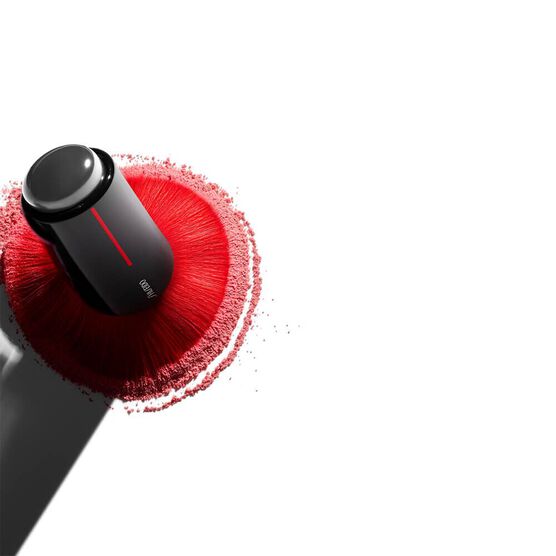 SHISEIDO   ACCESSORIES   COMP NA