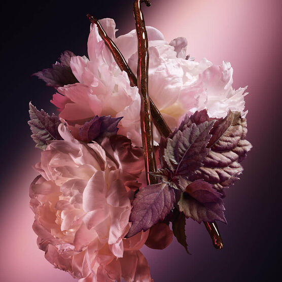 Perfume Good Girl Blush Elixir Feminino Eau de Parfum