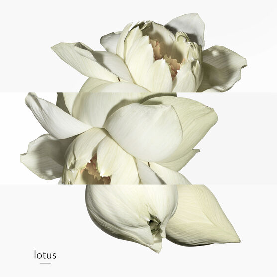 HERMES     JARDIN SUR LE EDTV 30ML