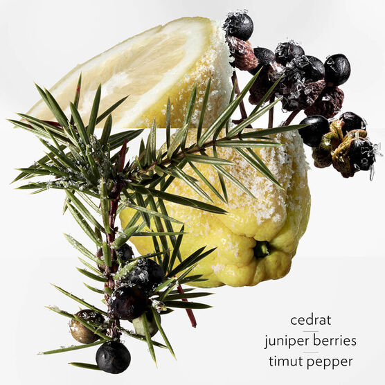 TERRE D'HERMES EAU GIVREE EDP 50ML