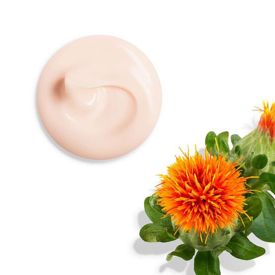 SHISEIDO   UPLIFTING FIR FACE 50ML