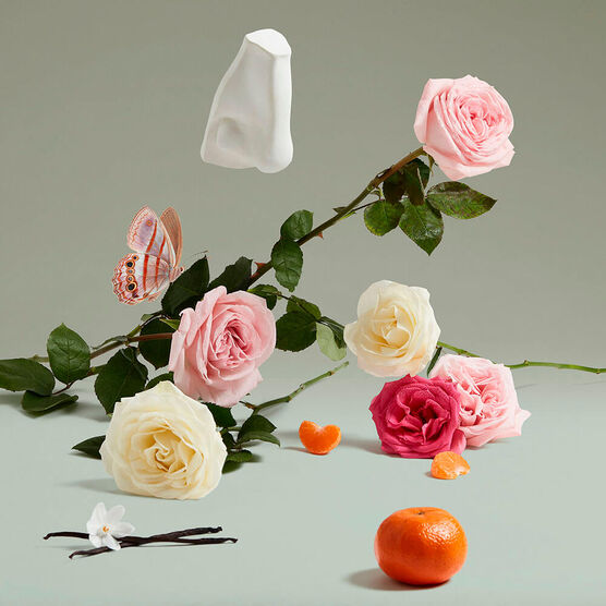 Perfume Penhaligons The Coveted Duchess Rose Unissex Eau de Parfum