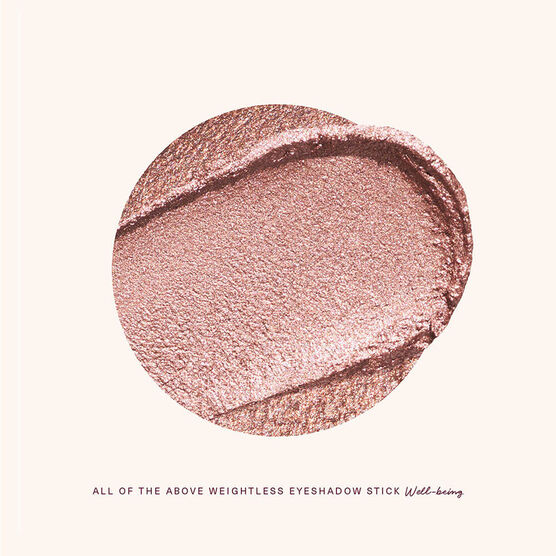 All Of The Above Weightless Eyeshadow Stick - Well-Being