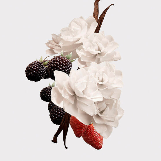 Perfume Burberry Her Elixir Feminino Eau de Parfum