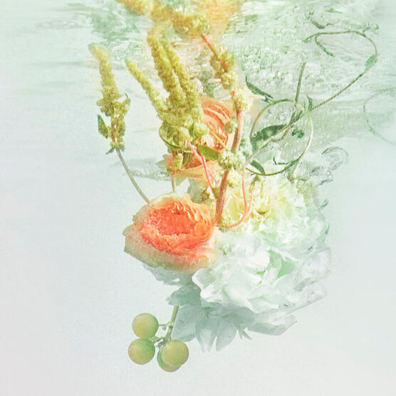 RIVIERES ALLEGRESSE EDT 100ML