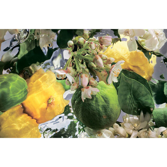 AQUA ALLEGORIA BERGAMO CALABRIA EDT