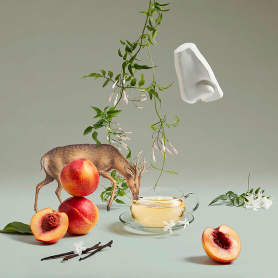 Perfume Penhaligons Artemisia Unissex Eau de Parfum