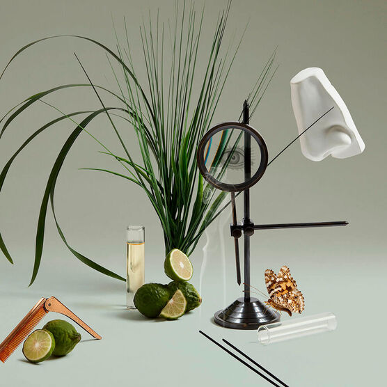 Perfume Penhaligons The Inimitable William Penhaligon Unissex Eau de Parfum