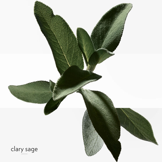 HERMES     H24           EDT  50ML