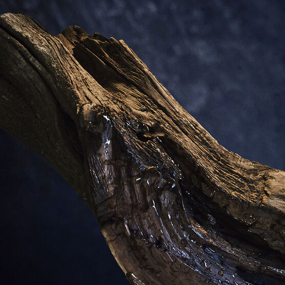 Invictus  Rabanne Parfum 50 ml