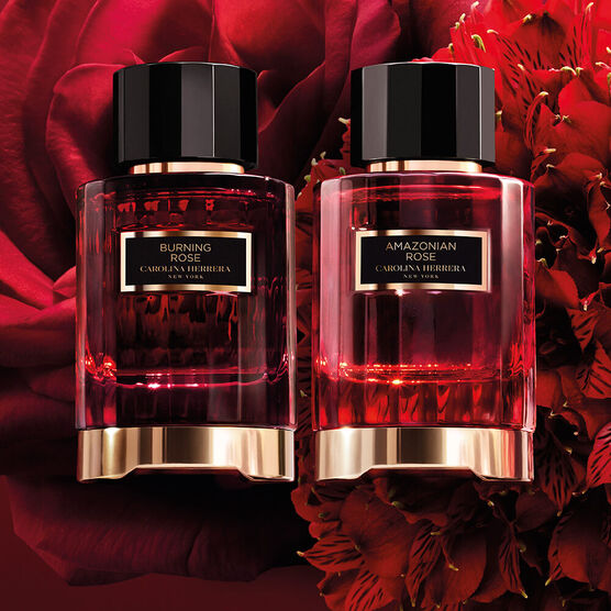 CAROLINA H CAROLINA H    EDP  100ML