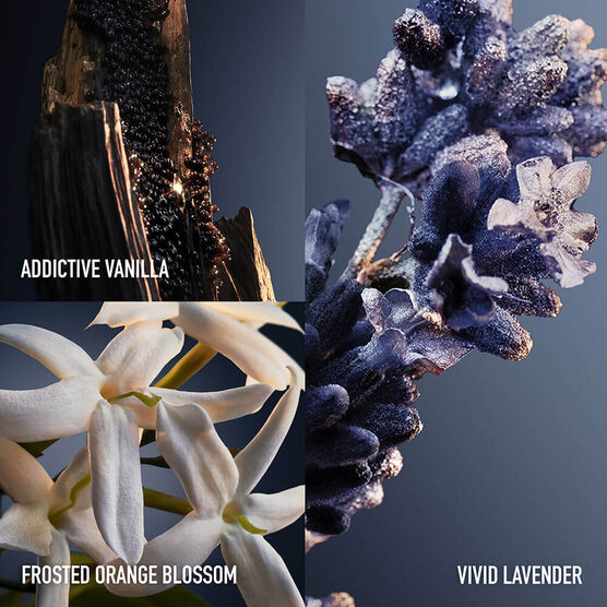 PHANTOM RE24 PHANTOM INTENSE EDP 50 ML