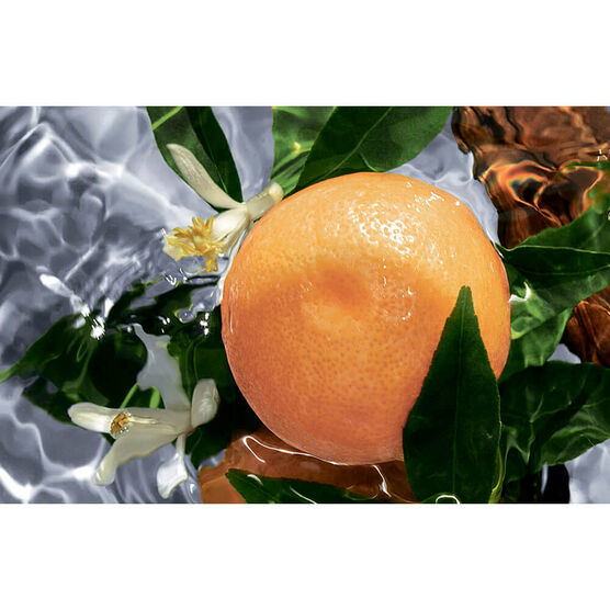 Refil Perfume Guerlain Aqua Allegoria Pamplelune Feminino Eau de Toilette