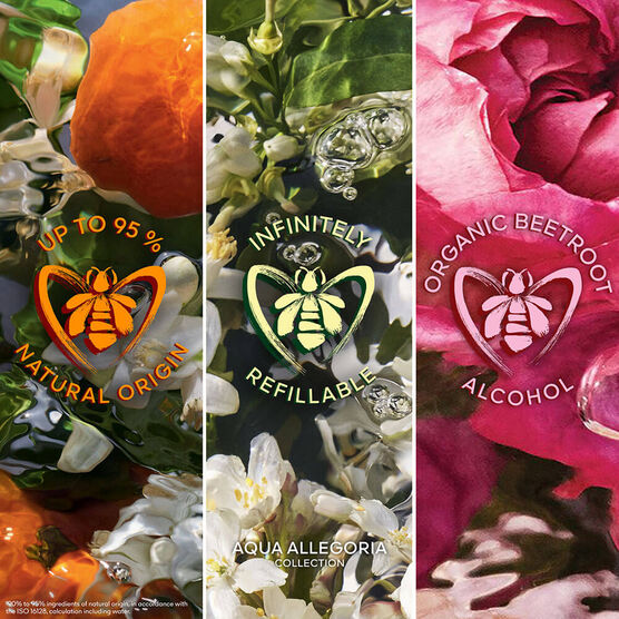 Refil Aqua Allegoria Rosa Rossa EDP Forte Feminino