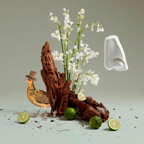 Perfume Penhaligons Lily of the Valley Unissex Eau de Toilette