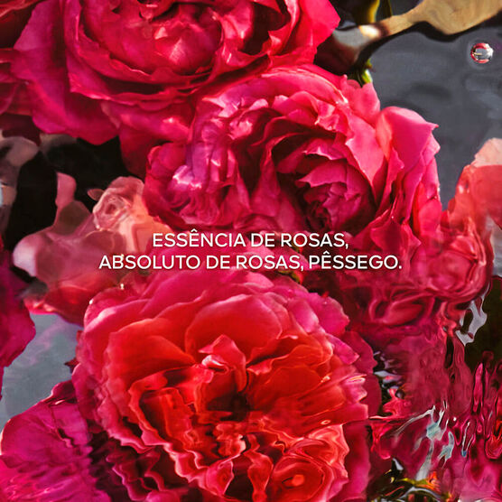 Refil Aqua Allegoria Rosa Rossa EDP Forte Feminino