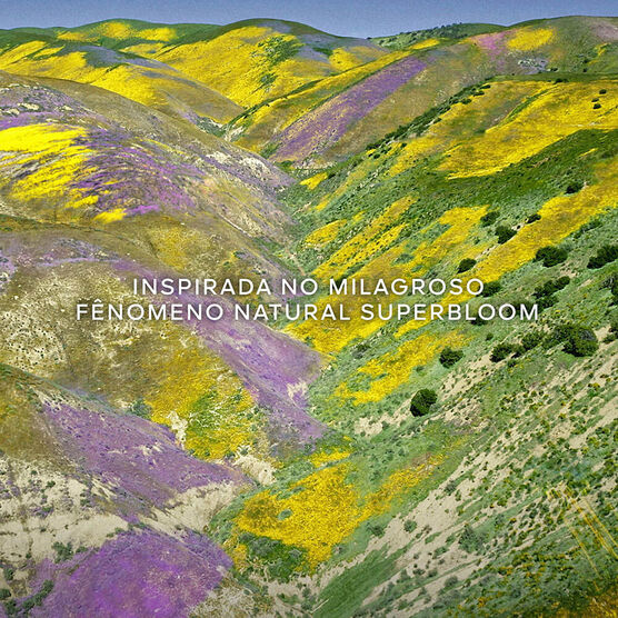 Refil Perfume Guerlain Aqua Allegoria Florabloom Forte Feminino Eau de Parfum