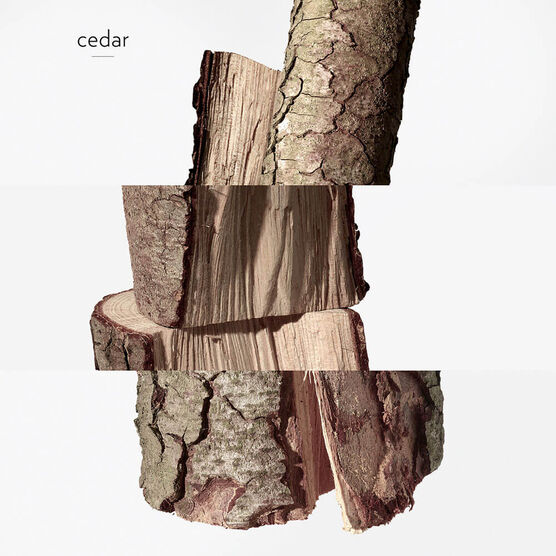 HERMS61 TWILLY EAU GINGER EDP 50ML