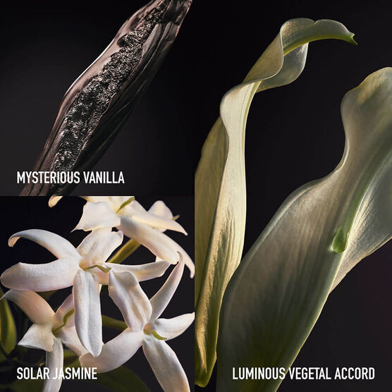 OLYMPEA RABANNE OLYMP�A PARFUM 50 ML