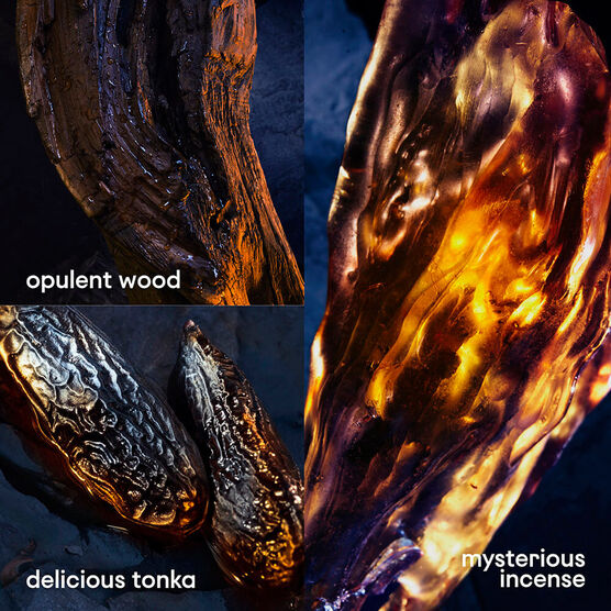 Perfume Rabanne Invictus Victory Elixir Masculino Parfum