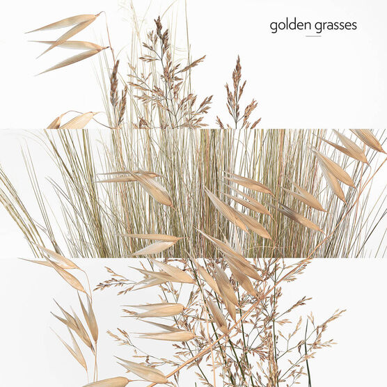 Perfume Herm&egrave;s Un Jardin &Agrave; Cyth&egrave;re Unissex Eau de Toilette