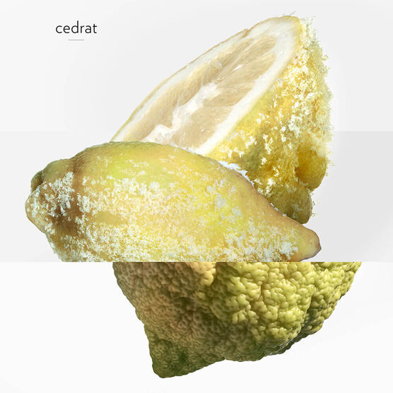 TERRE D'HERMES EAU GIVREE EDP 50ML