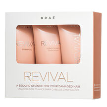 Kit Travel Size Bra&eacute; Revival