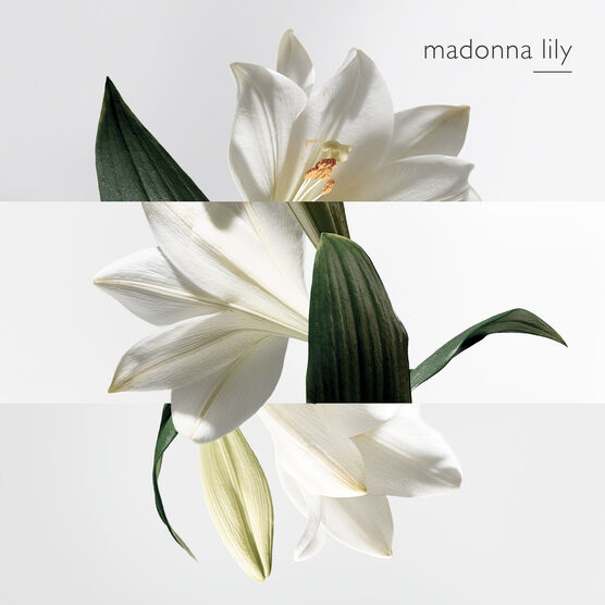 HERMES     JARDIN SUR LA EDT  100ML