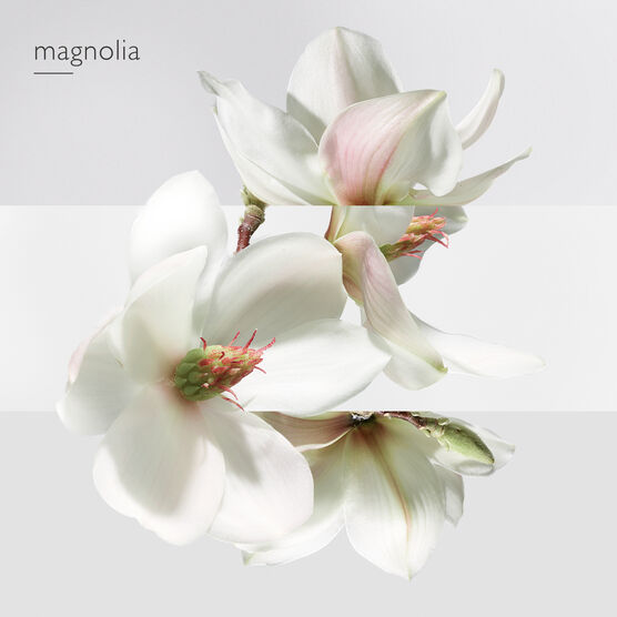 HERMES     JARDIN SUR LA EDT  100ML