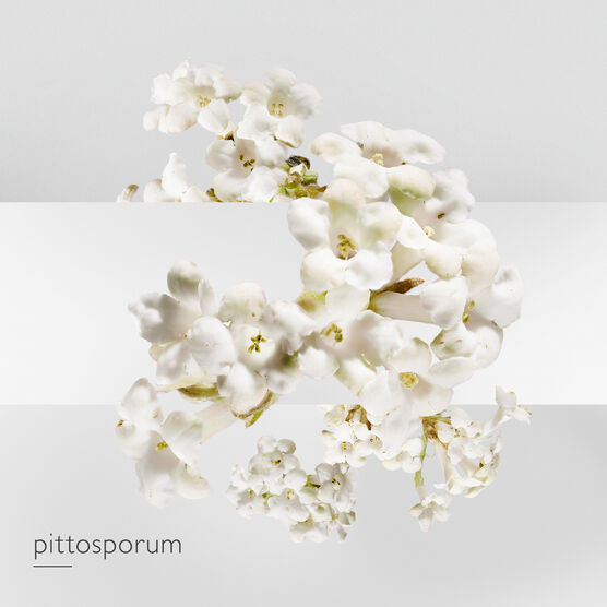 HERMES     JARDIN SUR LA EDT  100ML