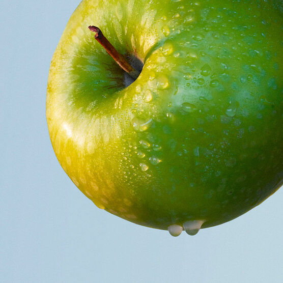 BOSS       BOSS BOTT TON EDTV 100ML