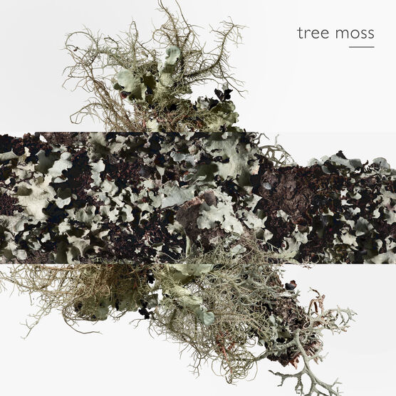 HERMES     1             EDCV 100ML