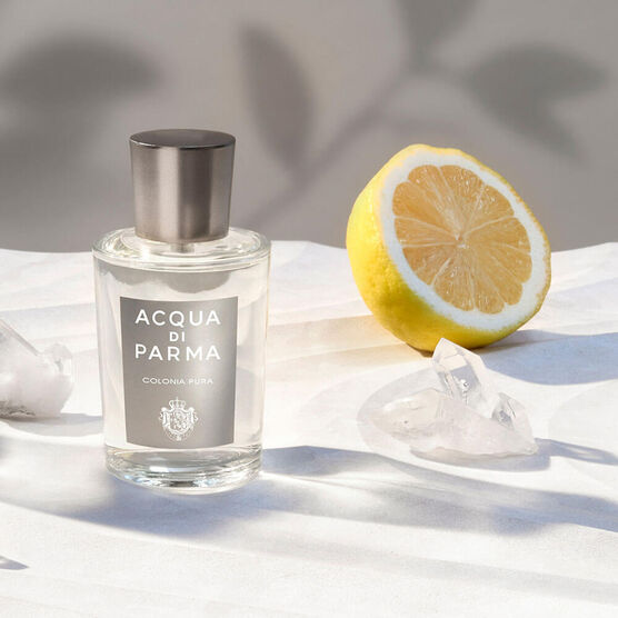 ACQUA DI P PUR EDC 100ML EDC  100ML