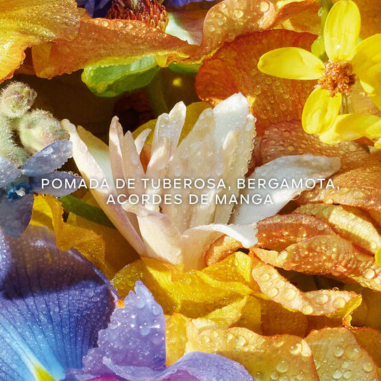 Refil Perfume Guerlain Aqua Allegoria Florabloom Feminino Eau de Toilette